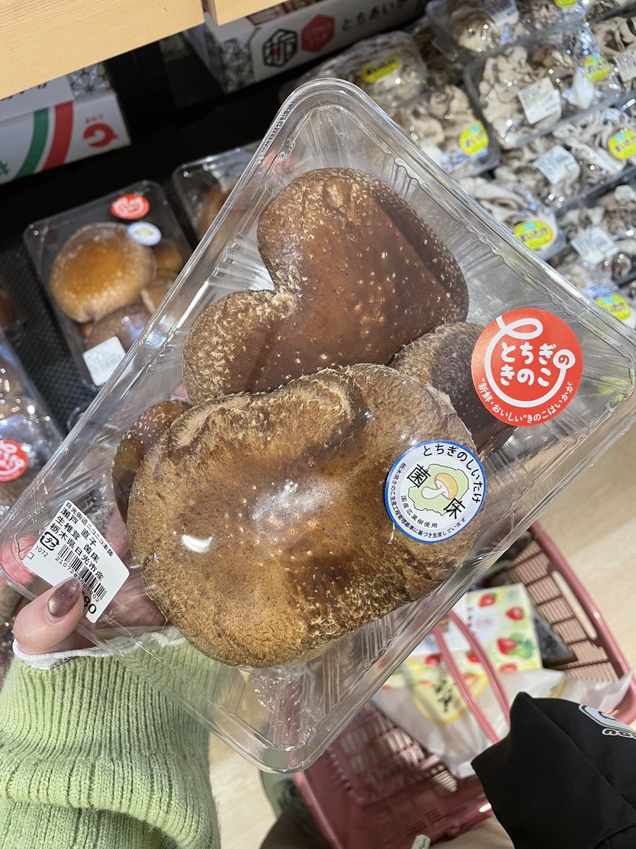 あーの tweet media