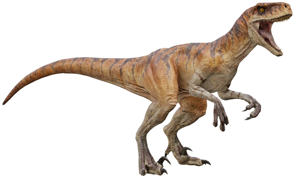 lukiethewesly13's tweet photo. Chat, does anyone know the genders of the Atrociraptors? https://t.co/4vjZUUTEFD