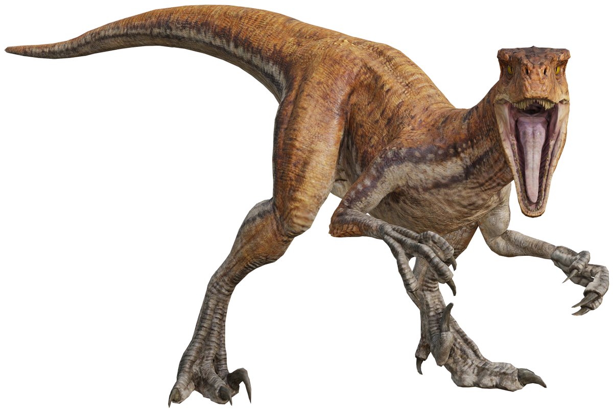 lukiethewesly13's tweet photo. Chat, does anyone know the genders of the Atrociraptors? https://t.co/4vjZUUTEFD