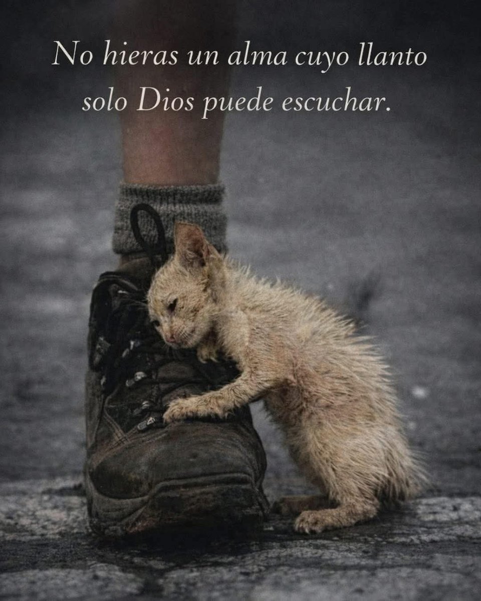 Manu Saenz💛💛 tweet media