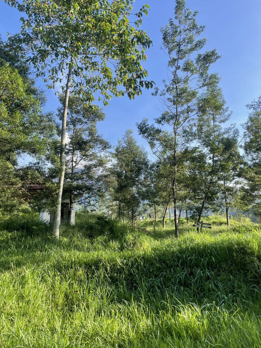 pengen lagi, belum puasss😭