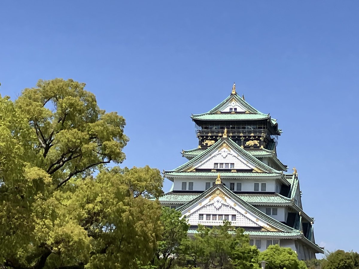 hariaroha's tweet photo. ハロー大阪！🏯 https://t.co/xUpUIIKLH0