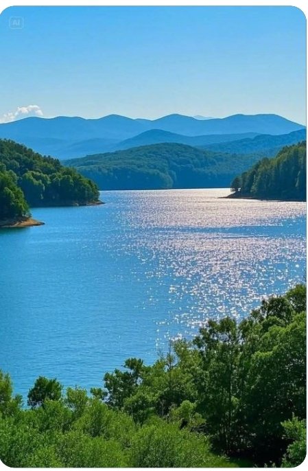 Devriş Yıldırım tweet media