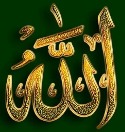 Ayşe Hatun tweet media