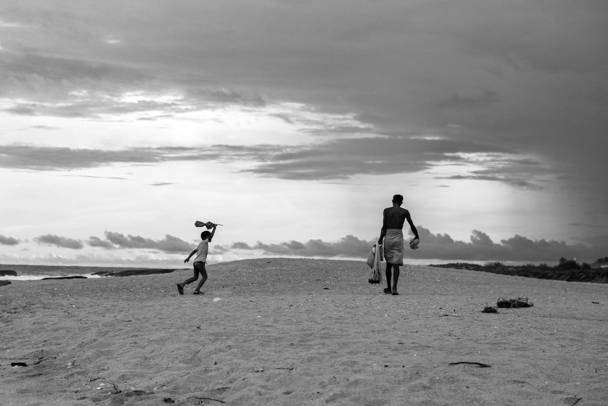 oddshotsgallery tweet media