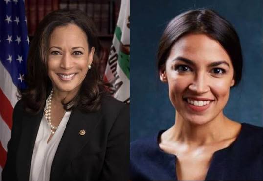cwagner52177's tweet image. You Voting For This Ticket In 2028 
#Harris #AOC