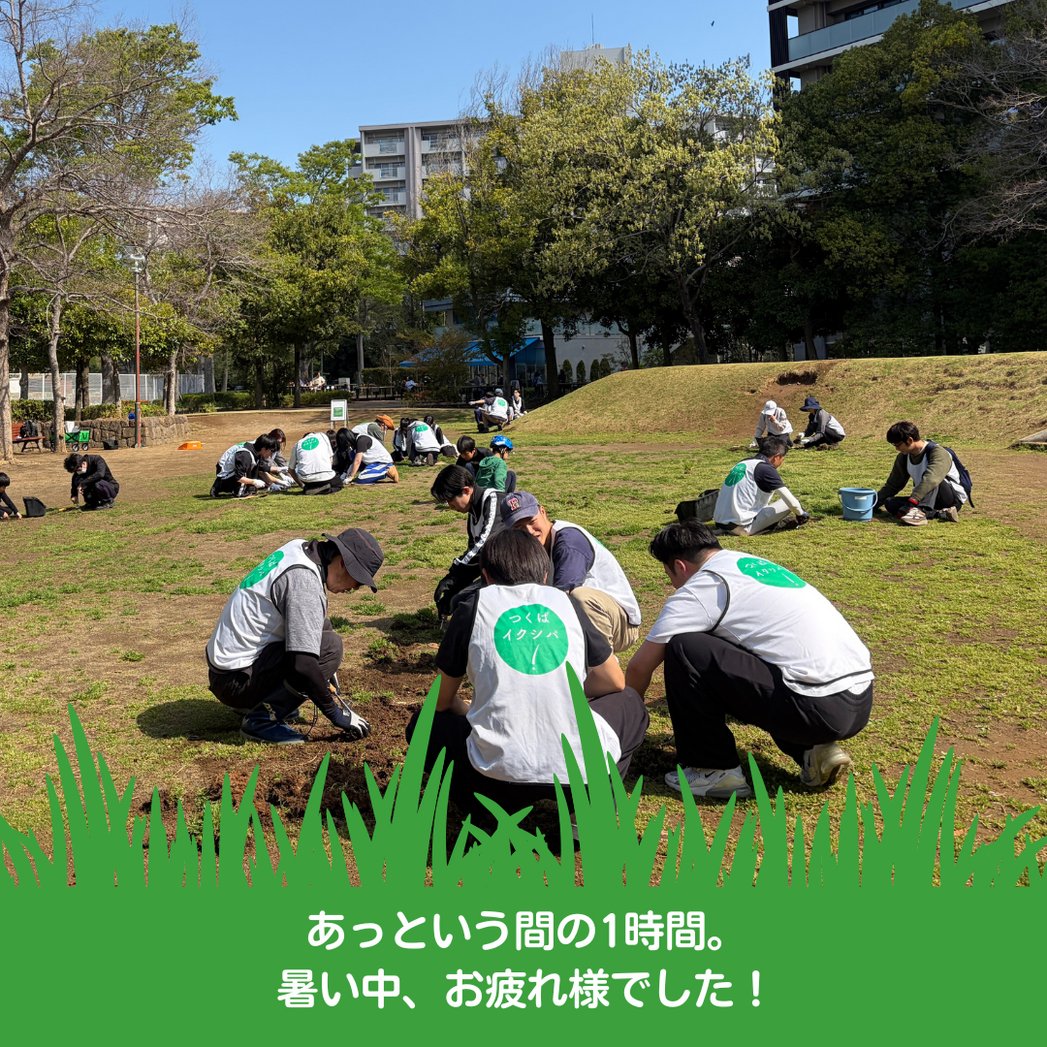 ISSEI_PR's tweet photo. 本日2026年4月11日(土)、竹園西広場公園でつくばイクシバ！のイクシバ活動に参加しました。
今回は新入社員16名も初参加し、器具の使い方を教わりながらみんなで地道に作業を進めました。
ご参加された皆さま、本当にお疲れさまでした！
#一誠商事 #不動産会社 #CSR #つくばイクシバ #アダプトアパーク https://t.co/siTmpXaruN