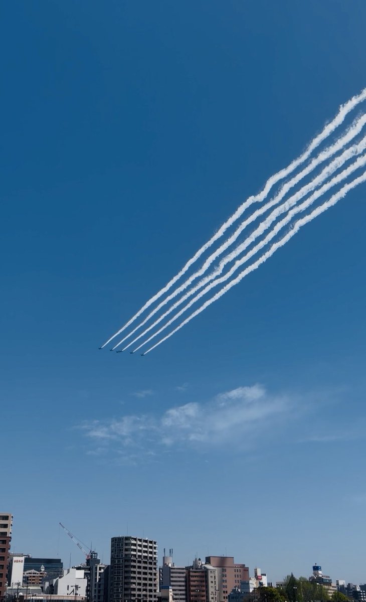 makiko tsukahara tweet media