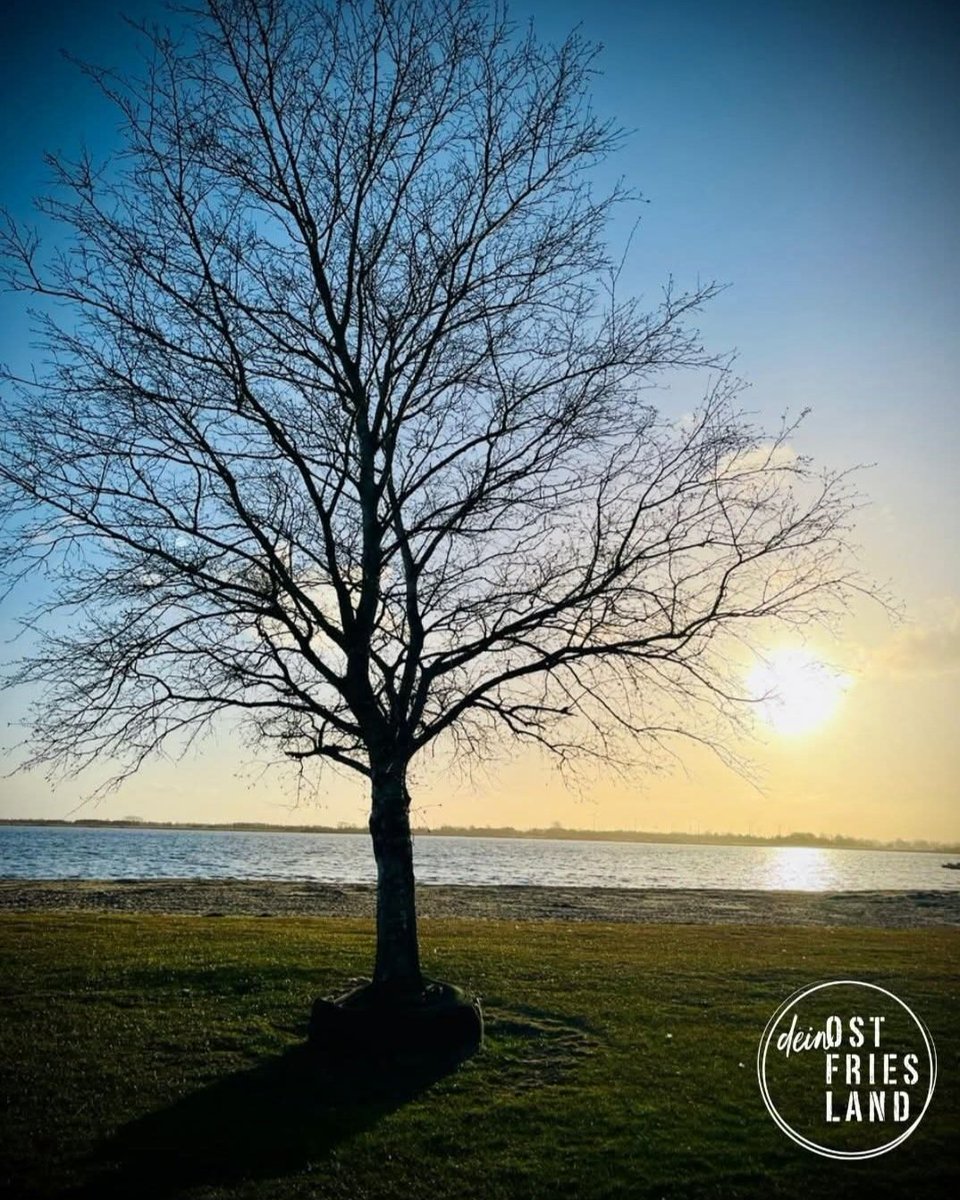 OostfreesenM's tweet photo. Moin!

Ein Gruß aus der Heimat! Ich wünsche allen einen schönen Tag un holt jo munter!

(Netzfund bei Dein #Ostfriesland) https://t.co/fjqESAIQbe