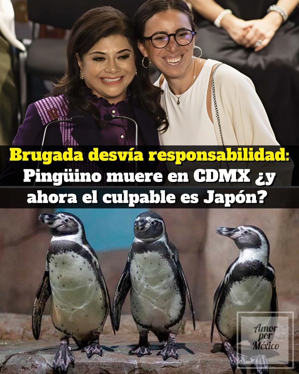 Saul van der Skägen 🇲🇽🇩🇰😷#LDG #VDC #VxM tweet media
