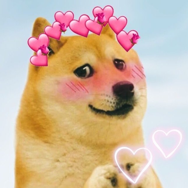 KOLARU RCB ❤️ tweet media