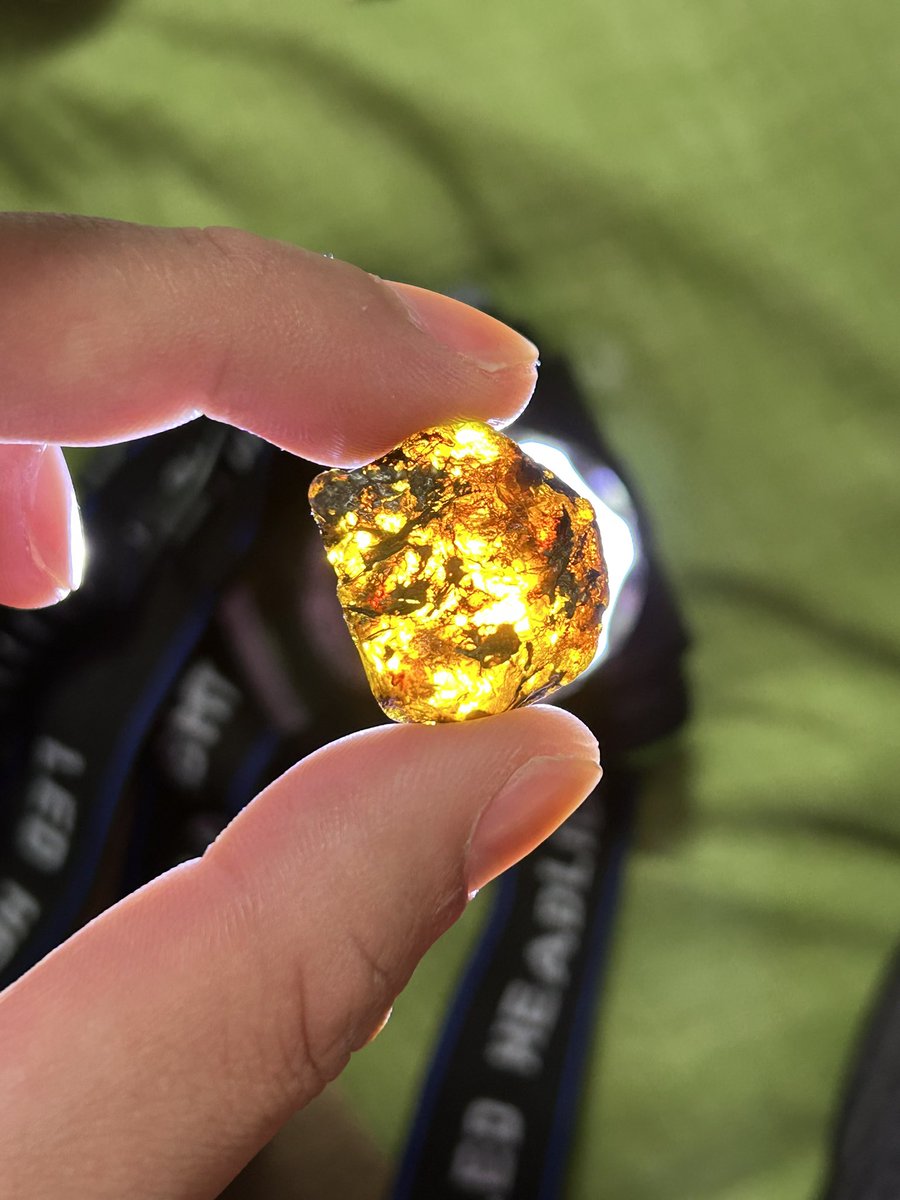 おおかみいろ tweet media