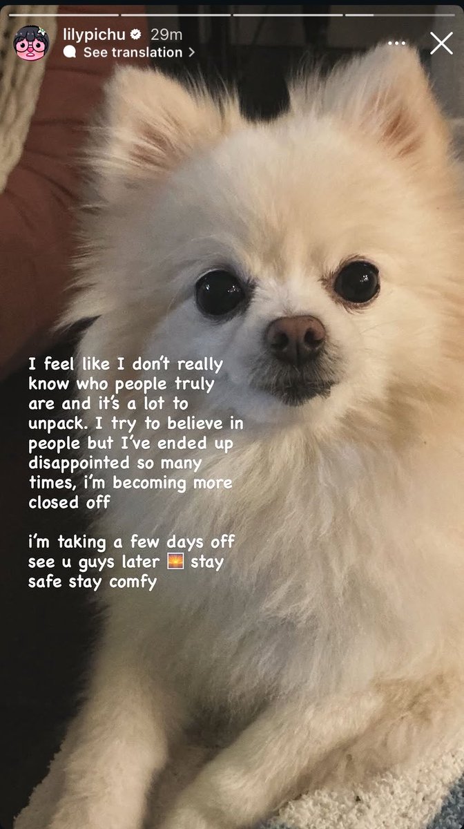 lalaa ·ᴗ· tweet media