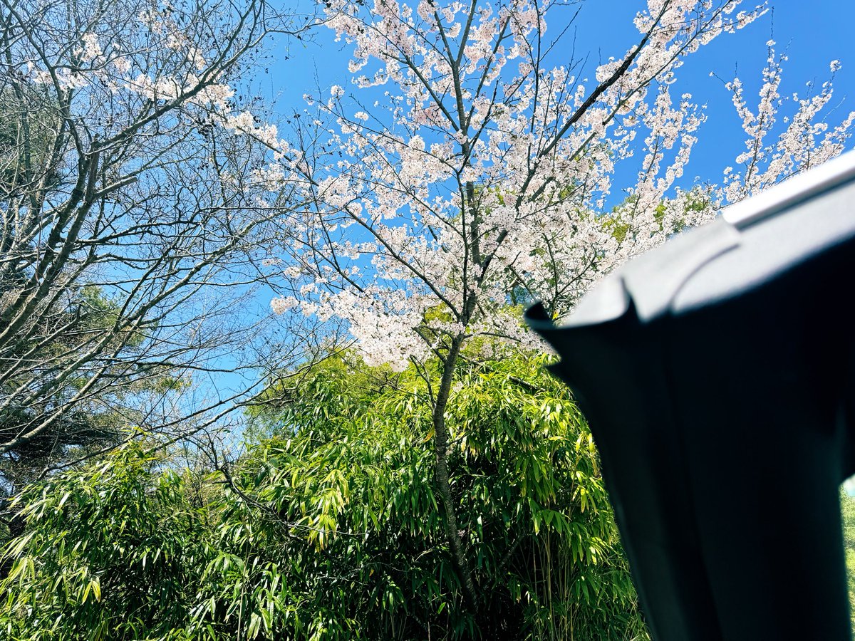 長狼@翁.コツコツケアー tweet media