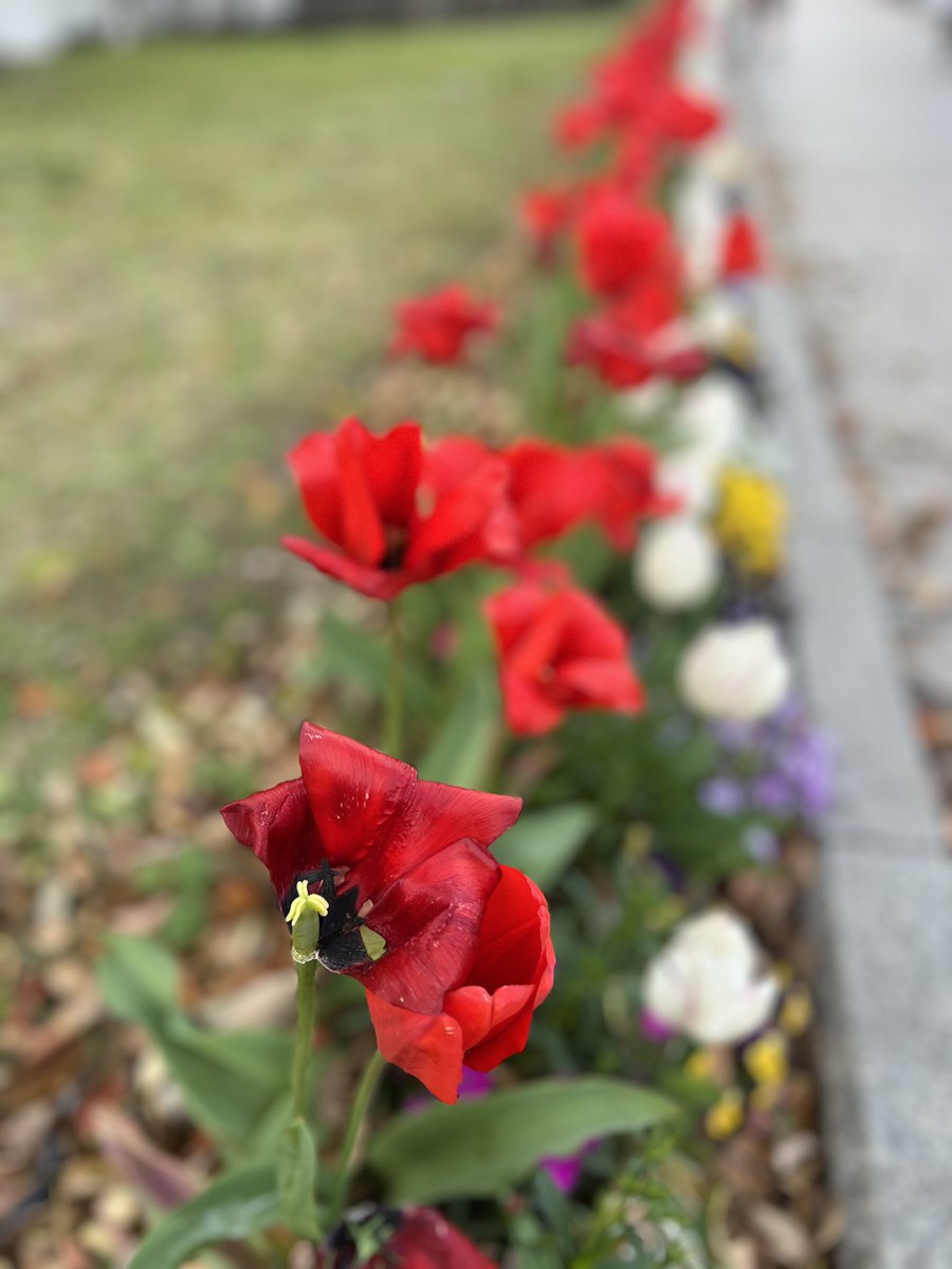 石井悠也 tweet media