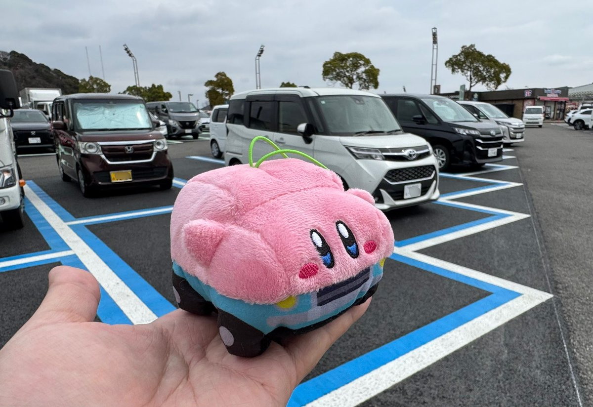 まりてぃ🐵わどちゃん tweet media