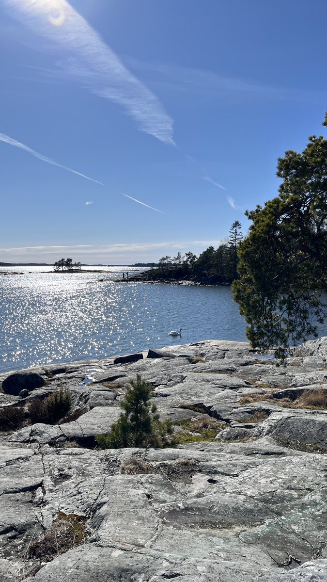 Jaana Koskinen tweet media