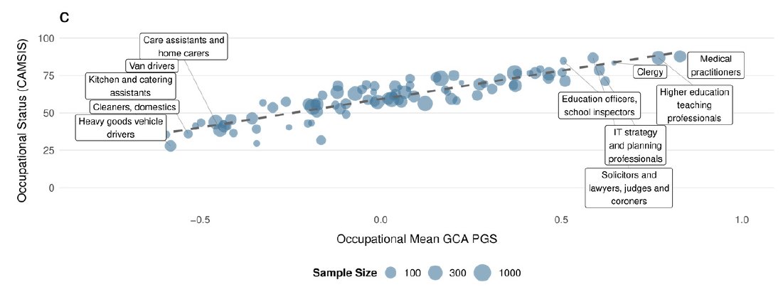 Riot IQ Research tweet media