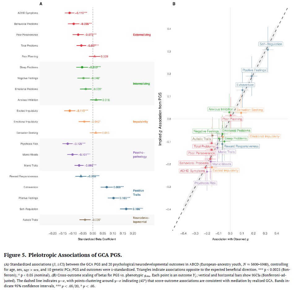 Riot IQ Research tweet media