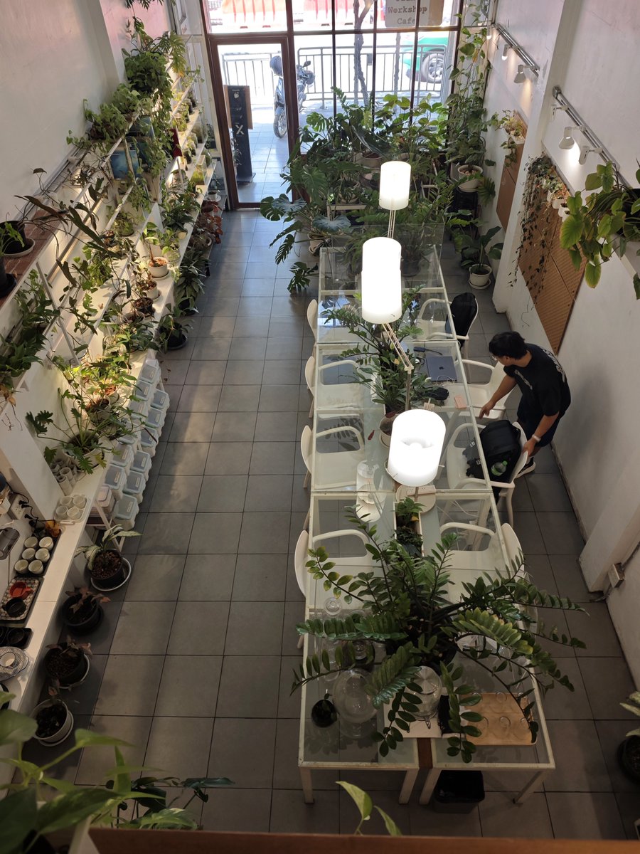 timbo ⚡ tweet media