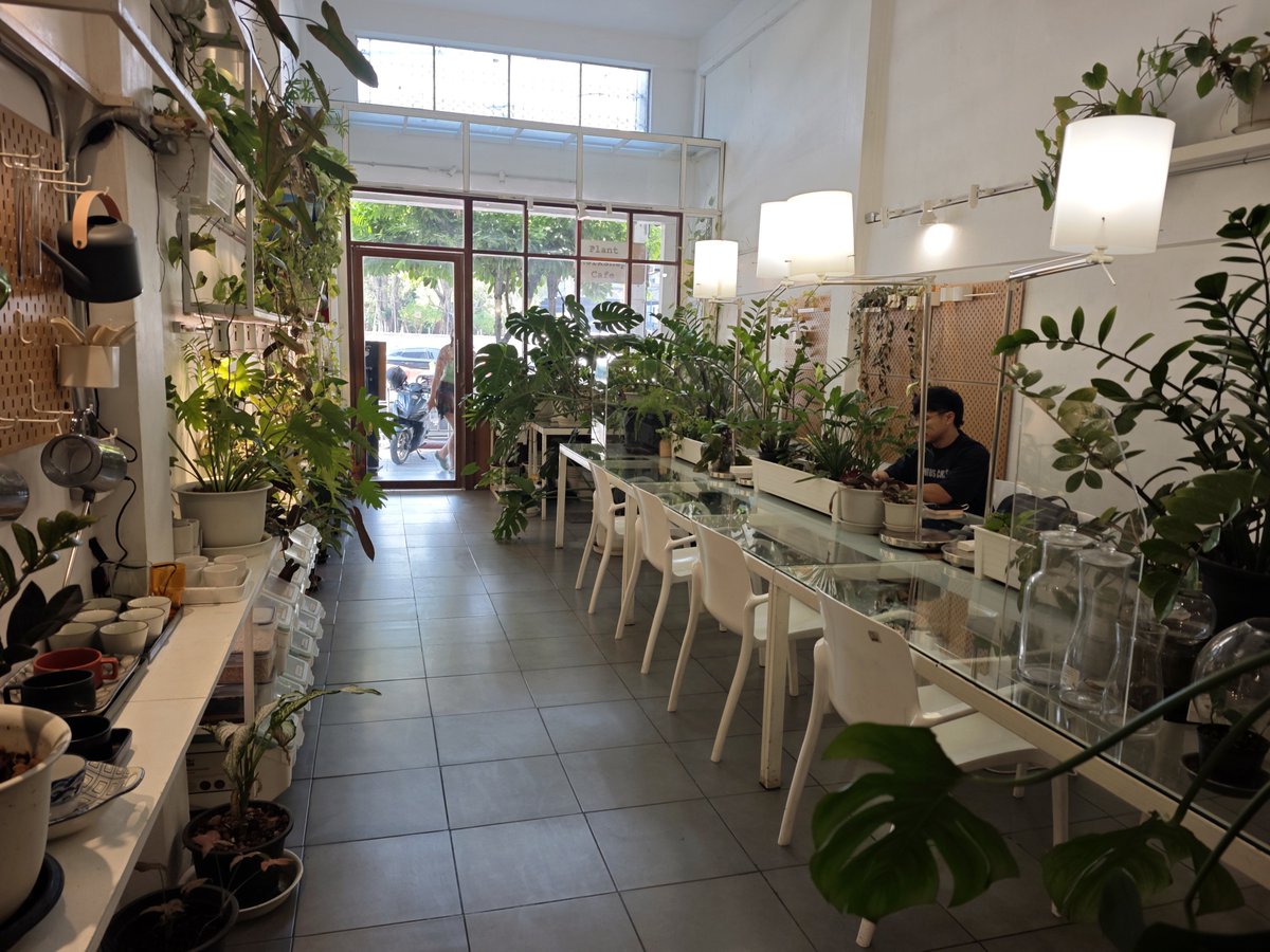 timbo ⚡ tweet media