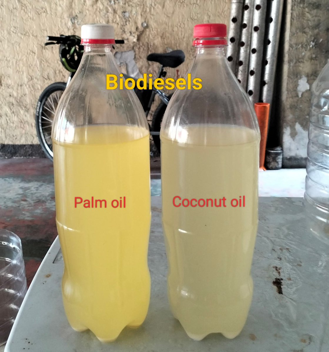 Coconut biodiesel is better than palm oil biodiesel. These have not been dehydrated. Once dry, it clears. But coconut is clearer and burns well.. PH must supercharge the coconut industry but this will cut oil company profits.. Guess what the government prefers?