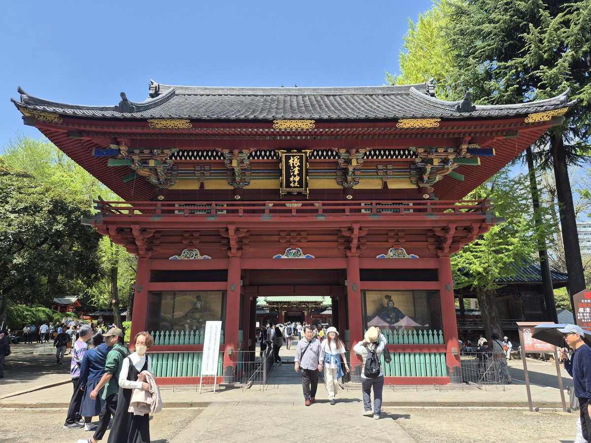 _borisyoi_'s tweet photo. 根津神社でツツジ祭り https://t.co/ObScXf7ShV