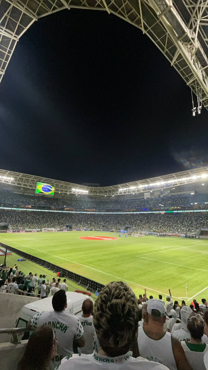 BELL4GARCIA's tweet photo. minha ultima vez no allianz parque foi em 2024 e essas sao minhas UNICAS fotos... https://t.co/Gx9sVQSGzM