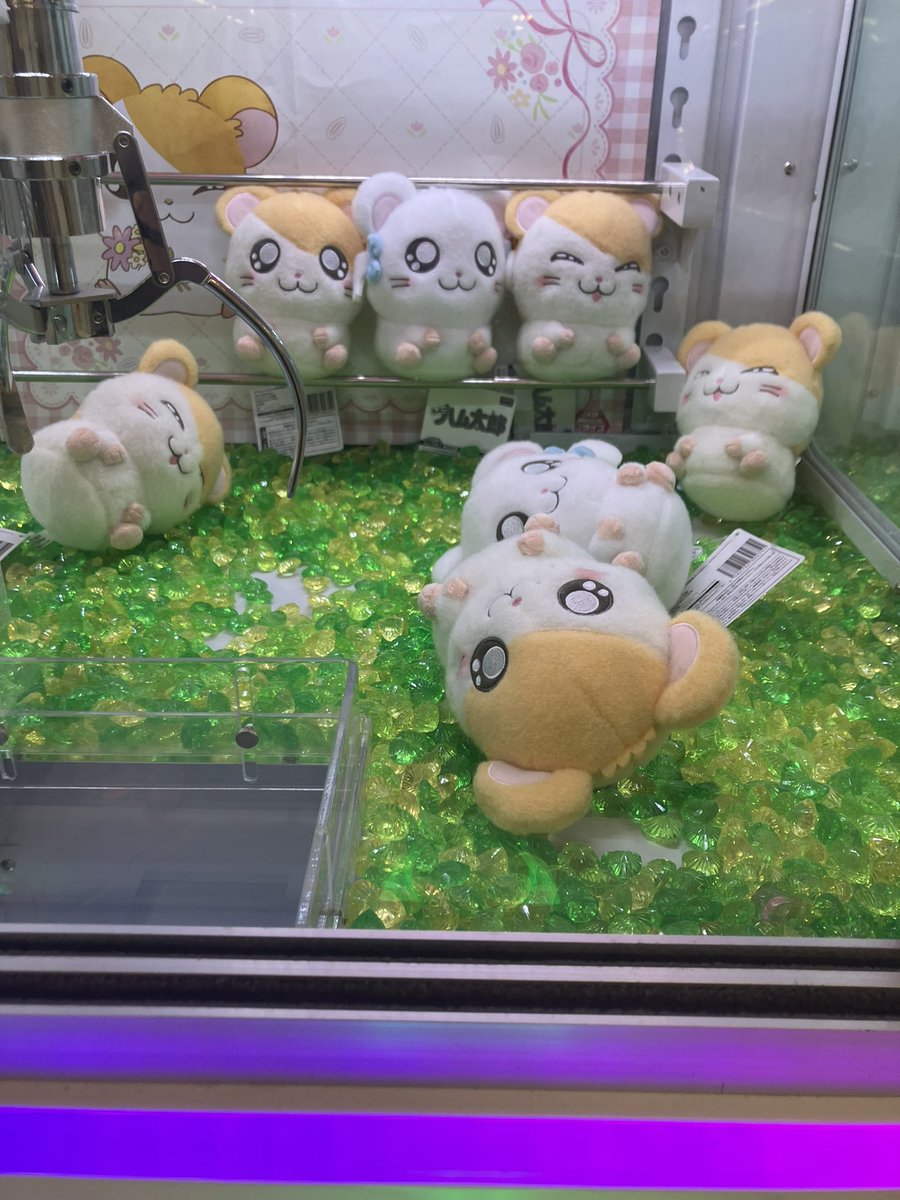 sunflat8931 tweet media