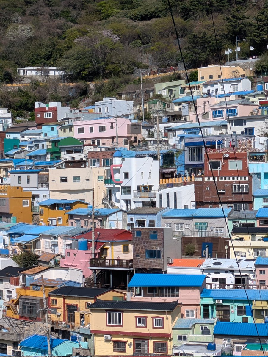 はれのそら@4月 釜山行ってきます―！！ tweet media