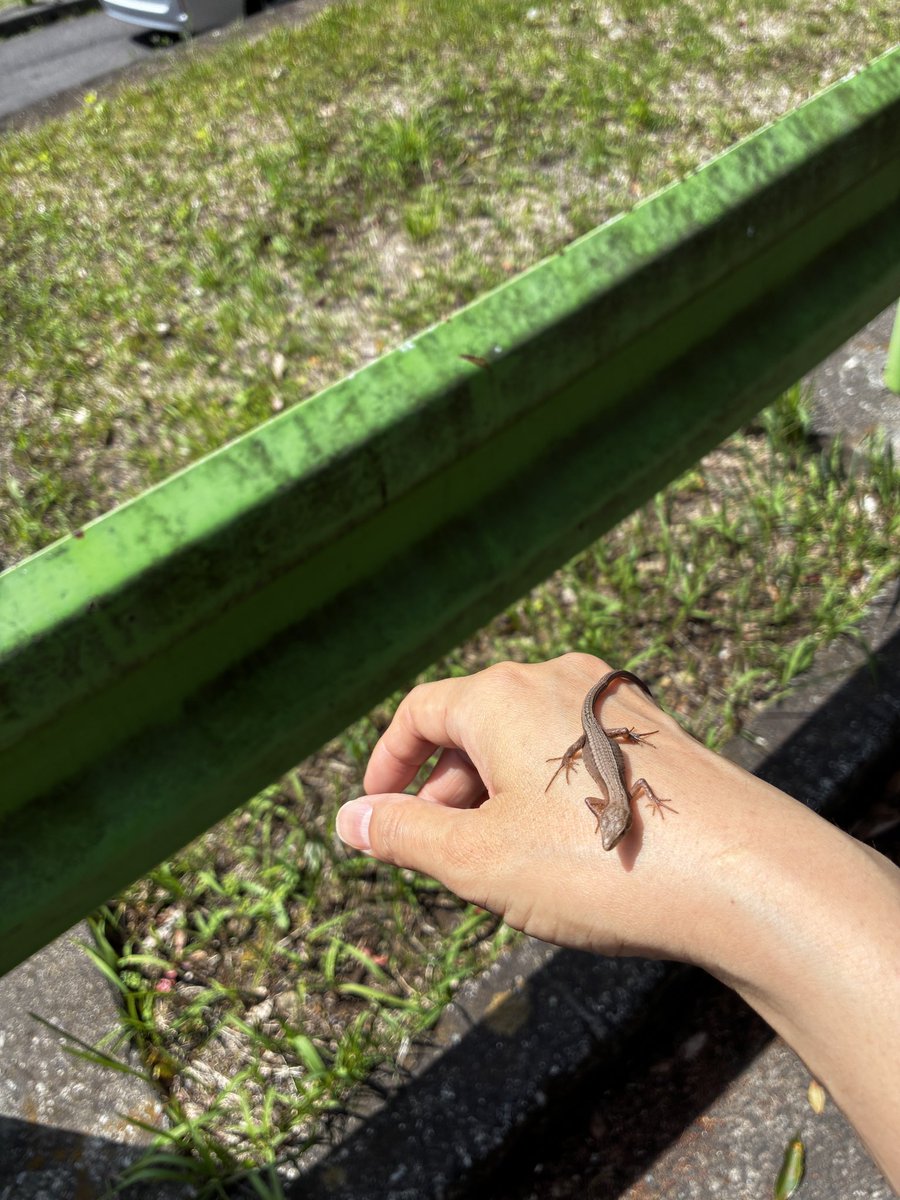 東京（東西）ビエンナーレ　赤と黒 tweet media