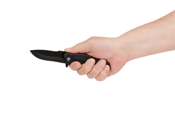 Macaco Caolha tweet media