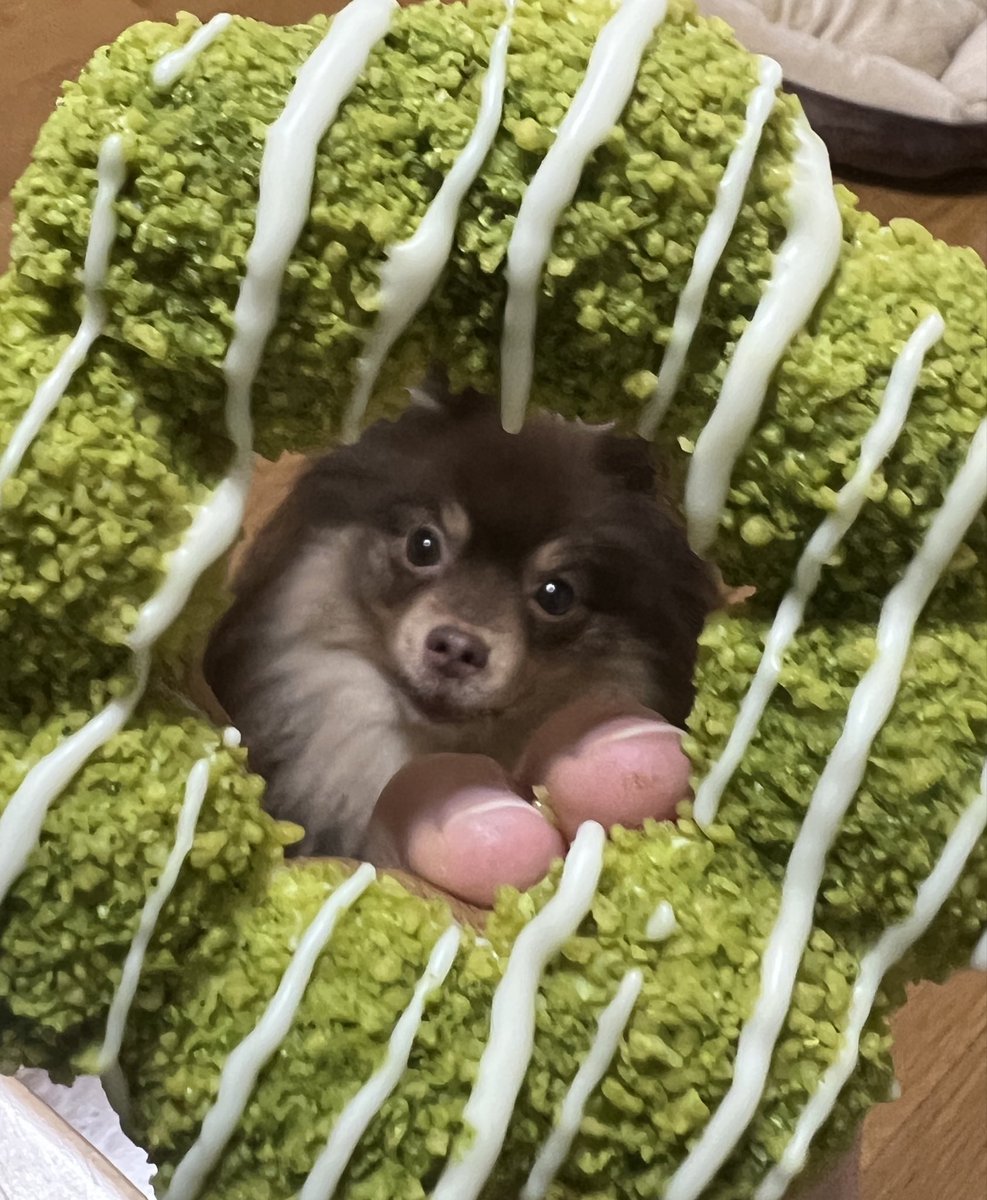 銀河一のいっも、 tweet media