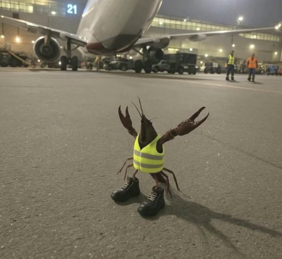 ソマニーさん tweet media