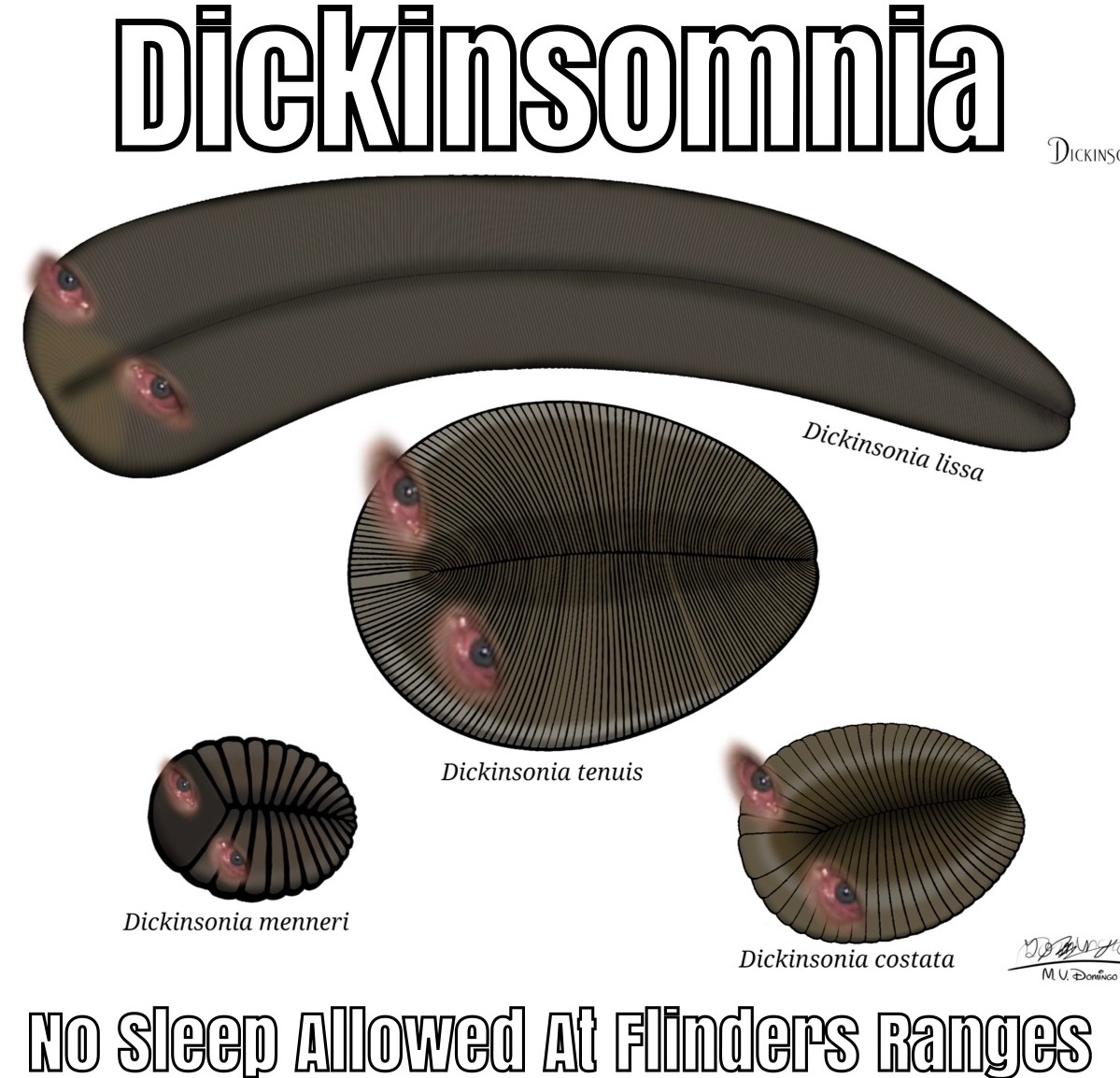 Fossiladder13 tweet media