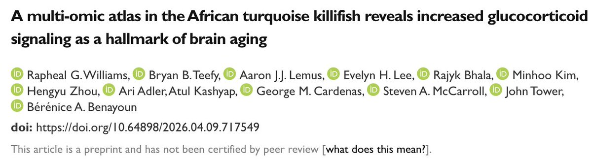 Bérénice A. Benayoun, PhD tweet media