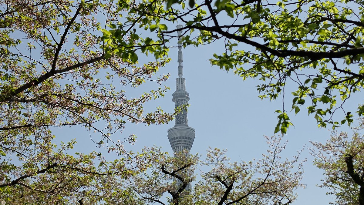 Mandy 🍵 tweet media