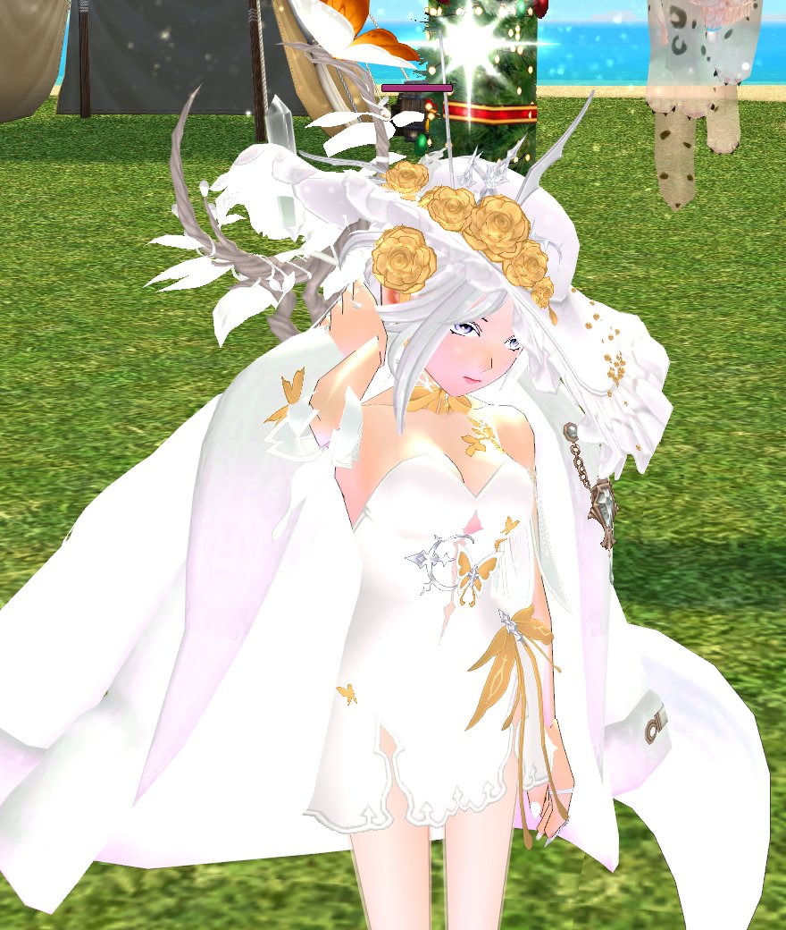 레레올🤍💛 tweet media