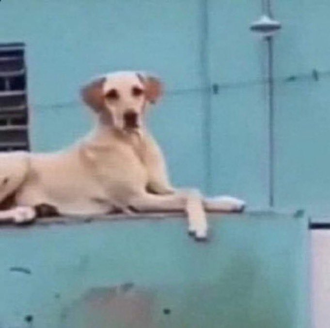 Hanna Montana 💜💛 tweet media