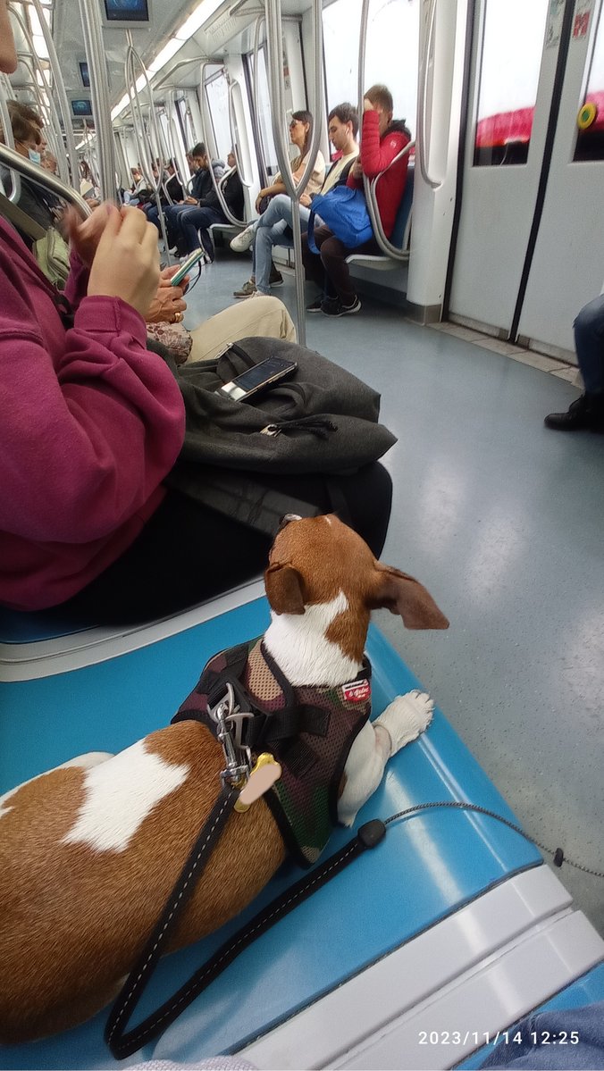 Dottore Luca Paltrinieri 🇮🇹 tweet media