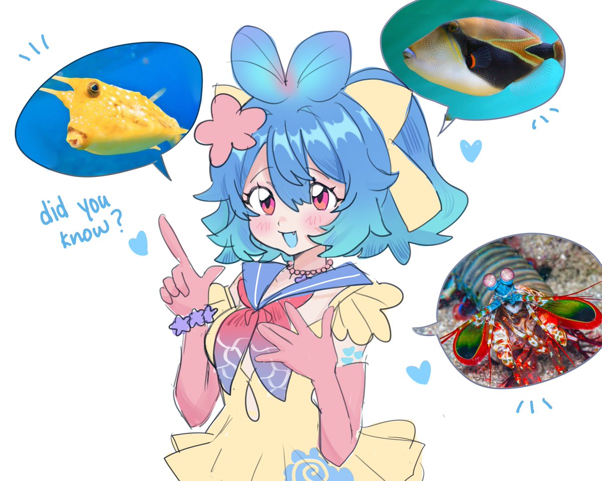 LAZULI 🍥🌊 tweet media