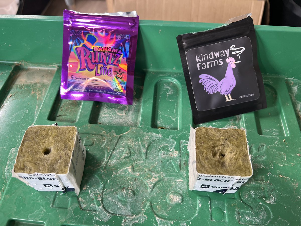 Cody Ledford tweet media