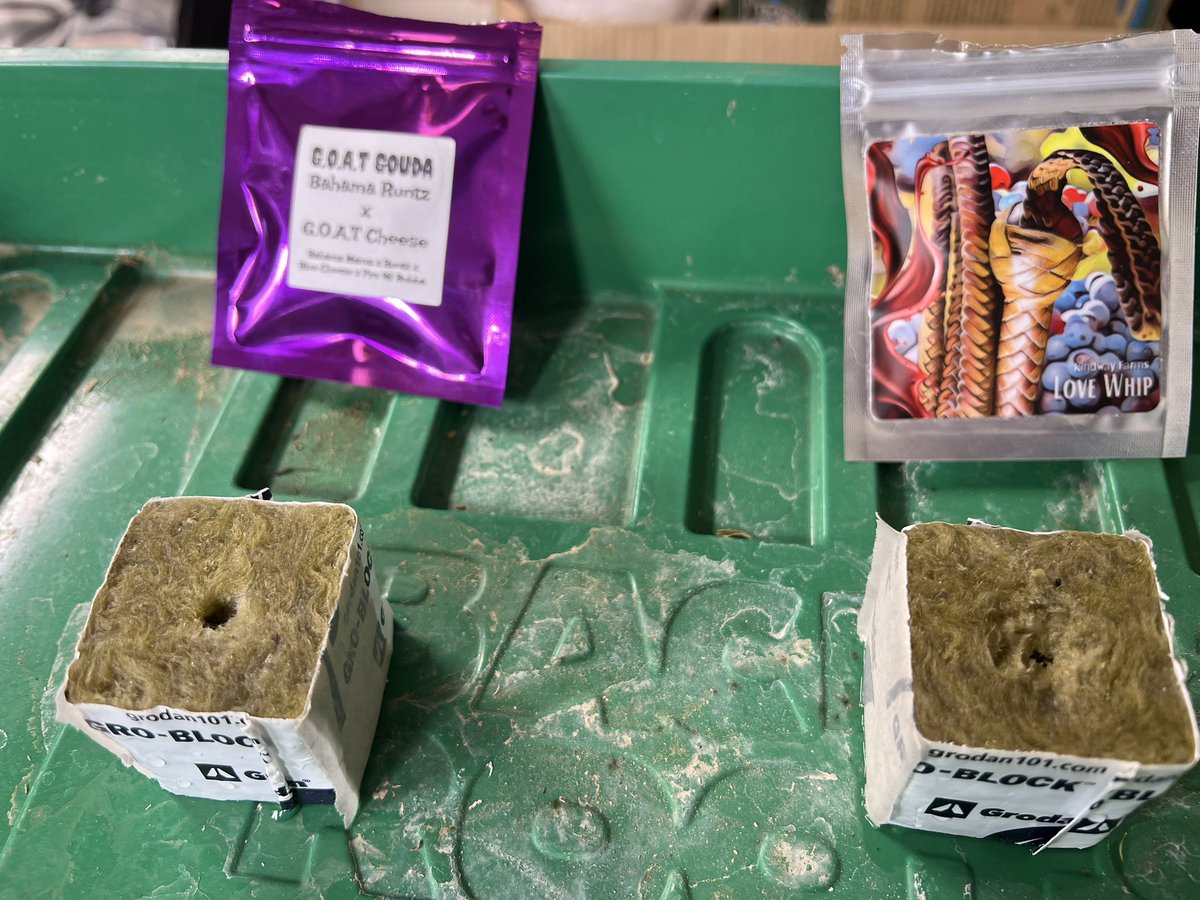 Cody Ledford tweet media