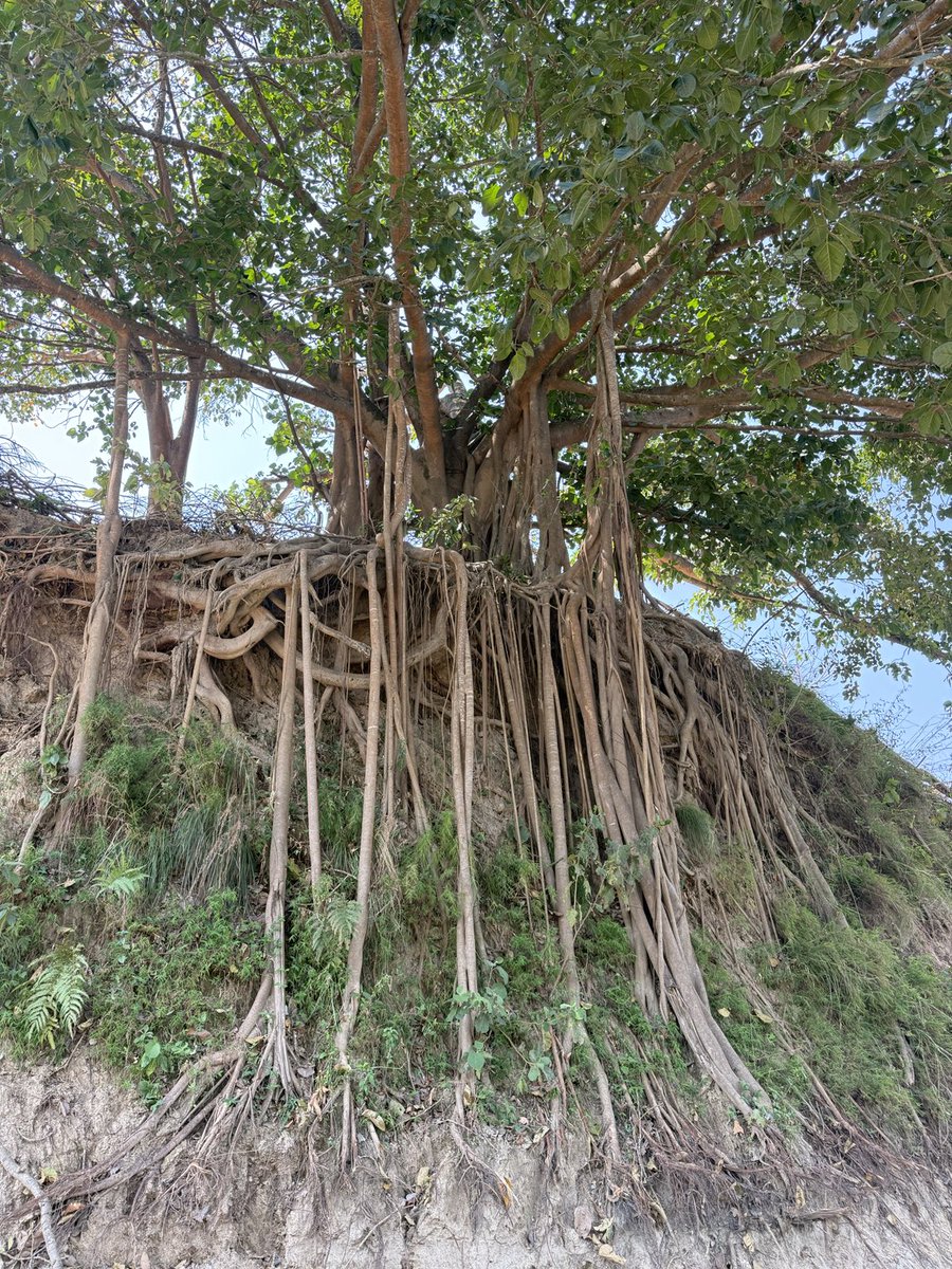 जरा त थुप्रै छ तर ब्यवस्थापन सही ढंगले ब्यस्थापन मात्र नभएको हो@नेपाली कांग्रेस ।