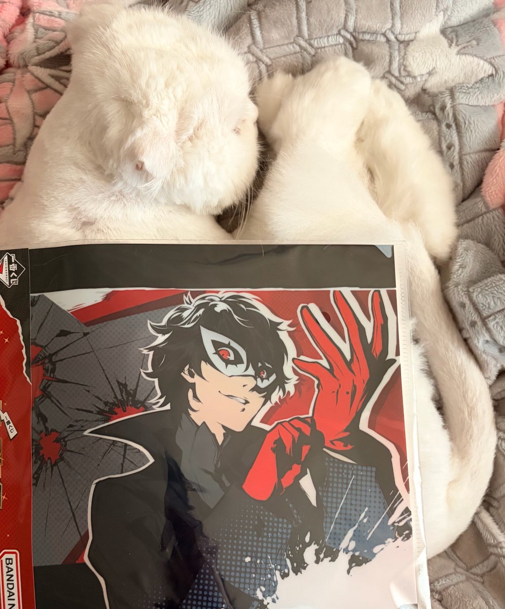 생강차 tweet media