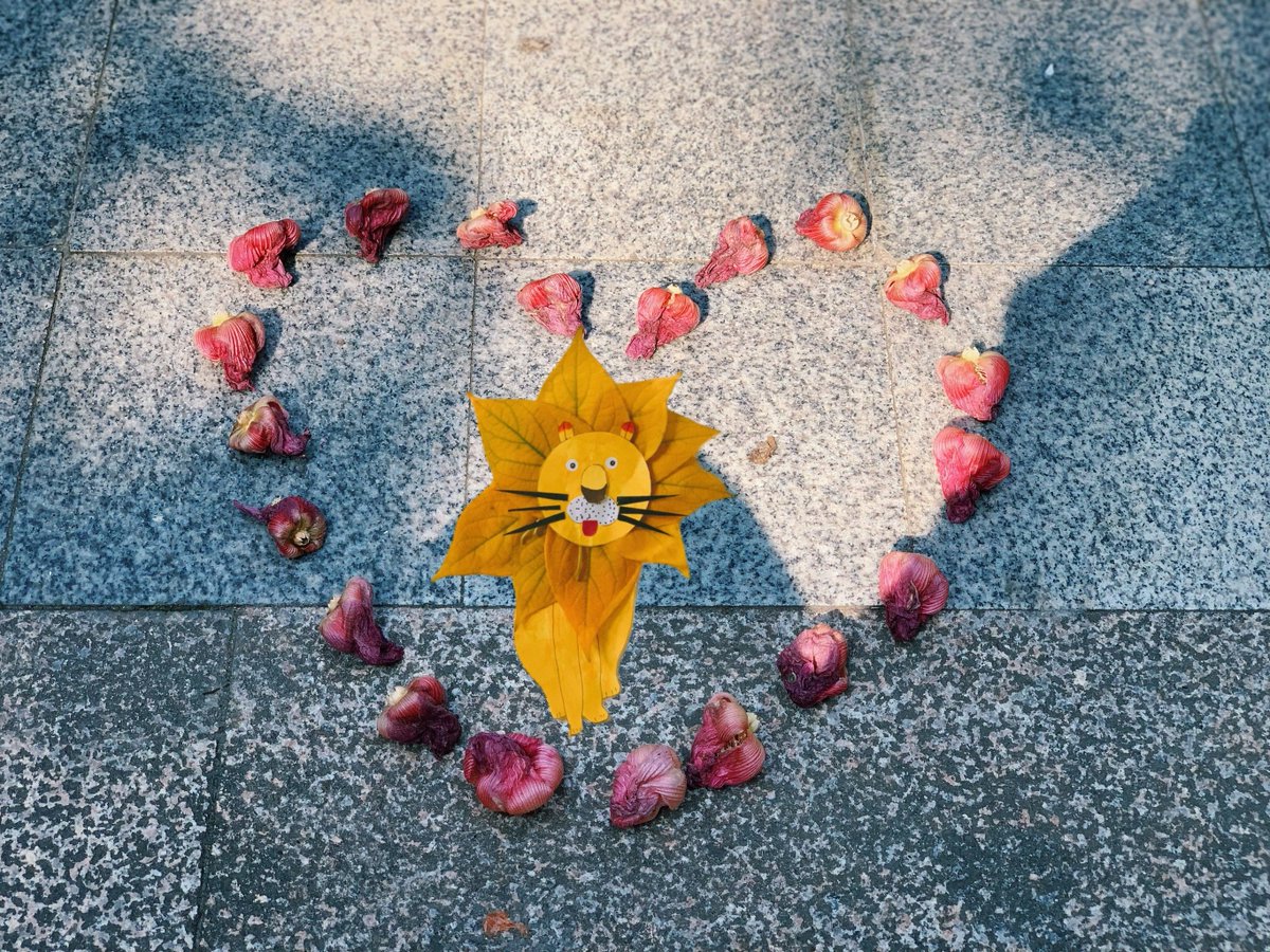bogdan1005's tweet photo. This Sat (10/21) 10AM-1PM | Community Clean-Up + Picnic! Bring gloves/bags, meet at Central Park Gazebo. Let’s spruce up our neighborhood u0026 enjoy snacks together! Tag a friend!  #NeighborhoodLove https://t.co/mxJJtQnOgz