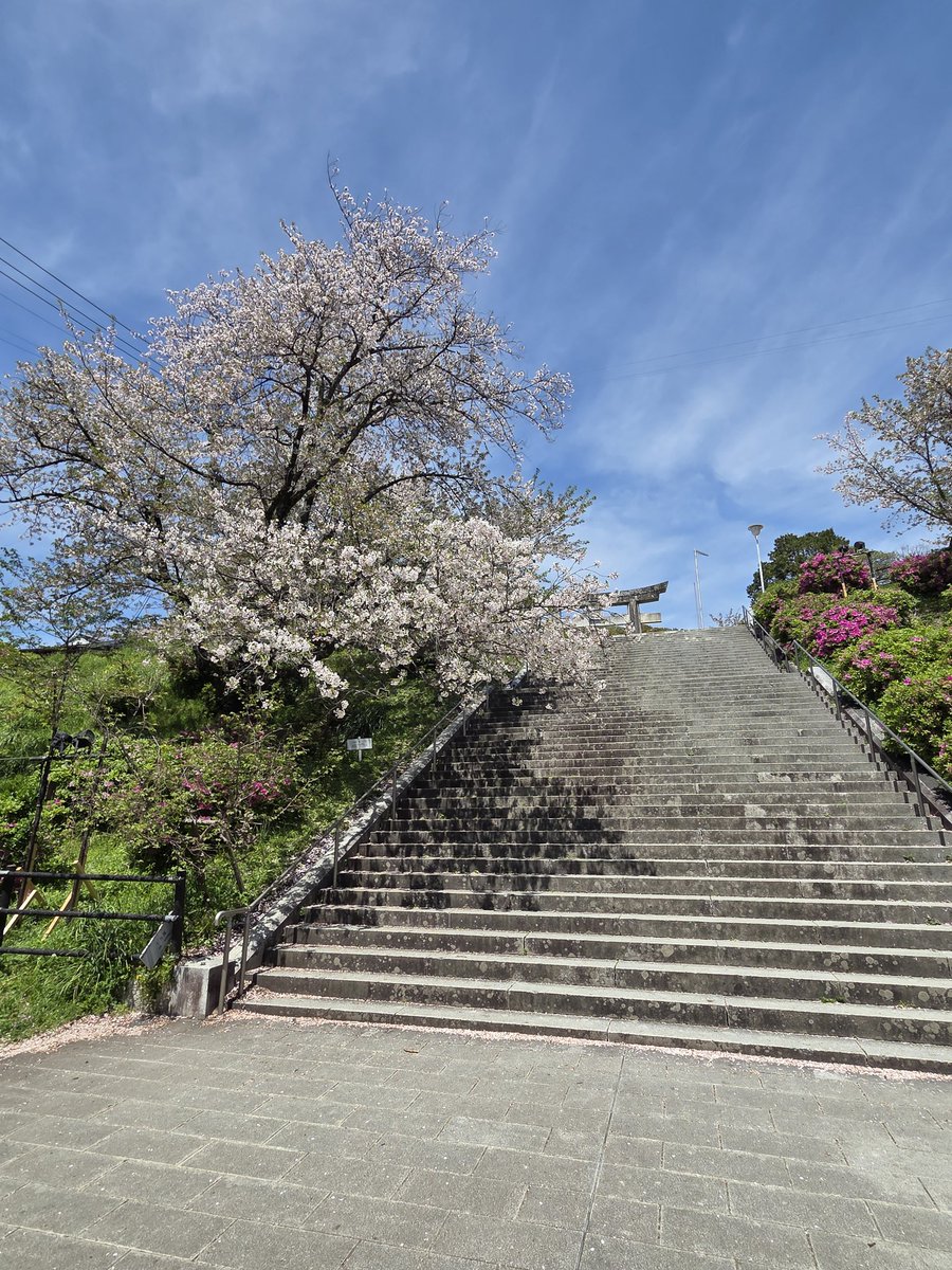 0zisan'sRed(おじさんずれっど) tweet media