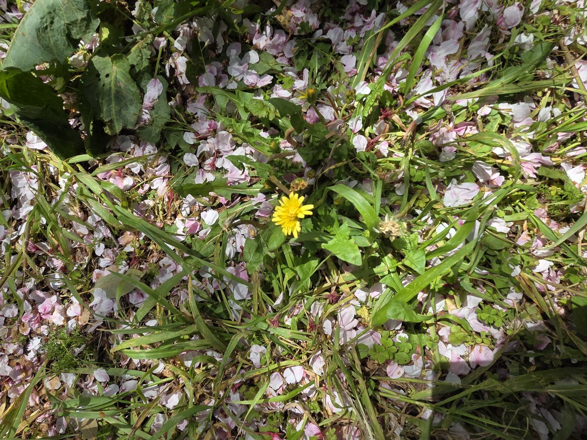 0zisan'sRed(おじさんずれっど) tweet media