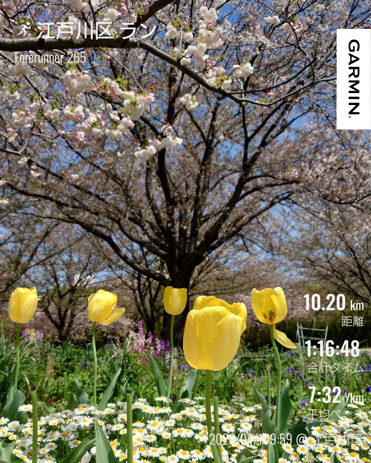 🌸2026 Yamada＠4/19チャレンジ富士五湖100km🗻 tweet media