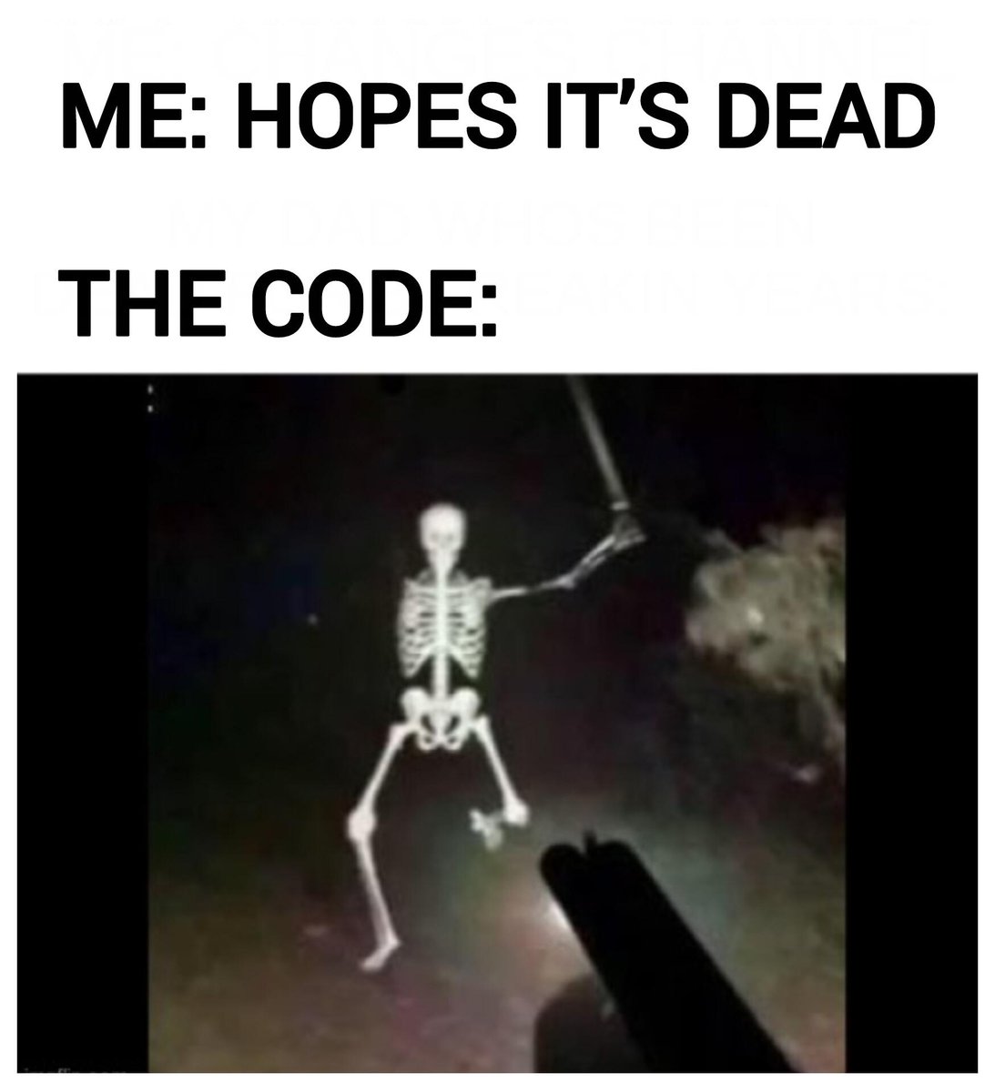 PR0GRAMMERHUM0R's tweet image. deadCodeNeverDies redd.it/1sf4d4p